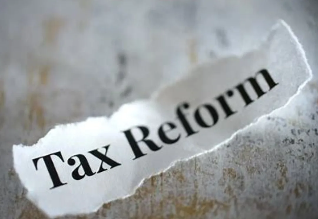 Riforma Fiscale: Copiatura del Movimento per l'Italia