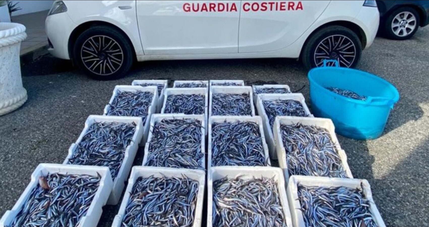 Nuovo Sequestro Pesce di Oltre 1 Quintale al Porto di Schiavonea di Corigliano Rossano