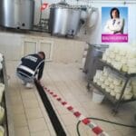 Caseificio Scarica nella Fogna per il Mare come il Film Qualunquemente a Corigliano Rossano