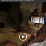 Video Via Crucis a Corigliano Rossano