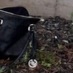 Scippatore Seriale di Corigliano Rossano - Cosenza - Calabria - carabinieri - signora -